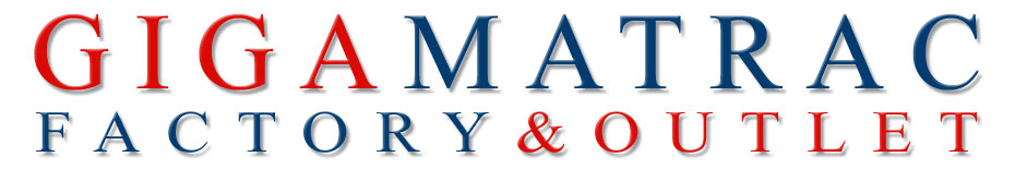 Gigamatrac logo